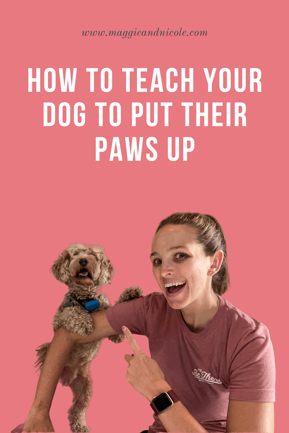 How to teach your dog to put their paws up
