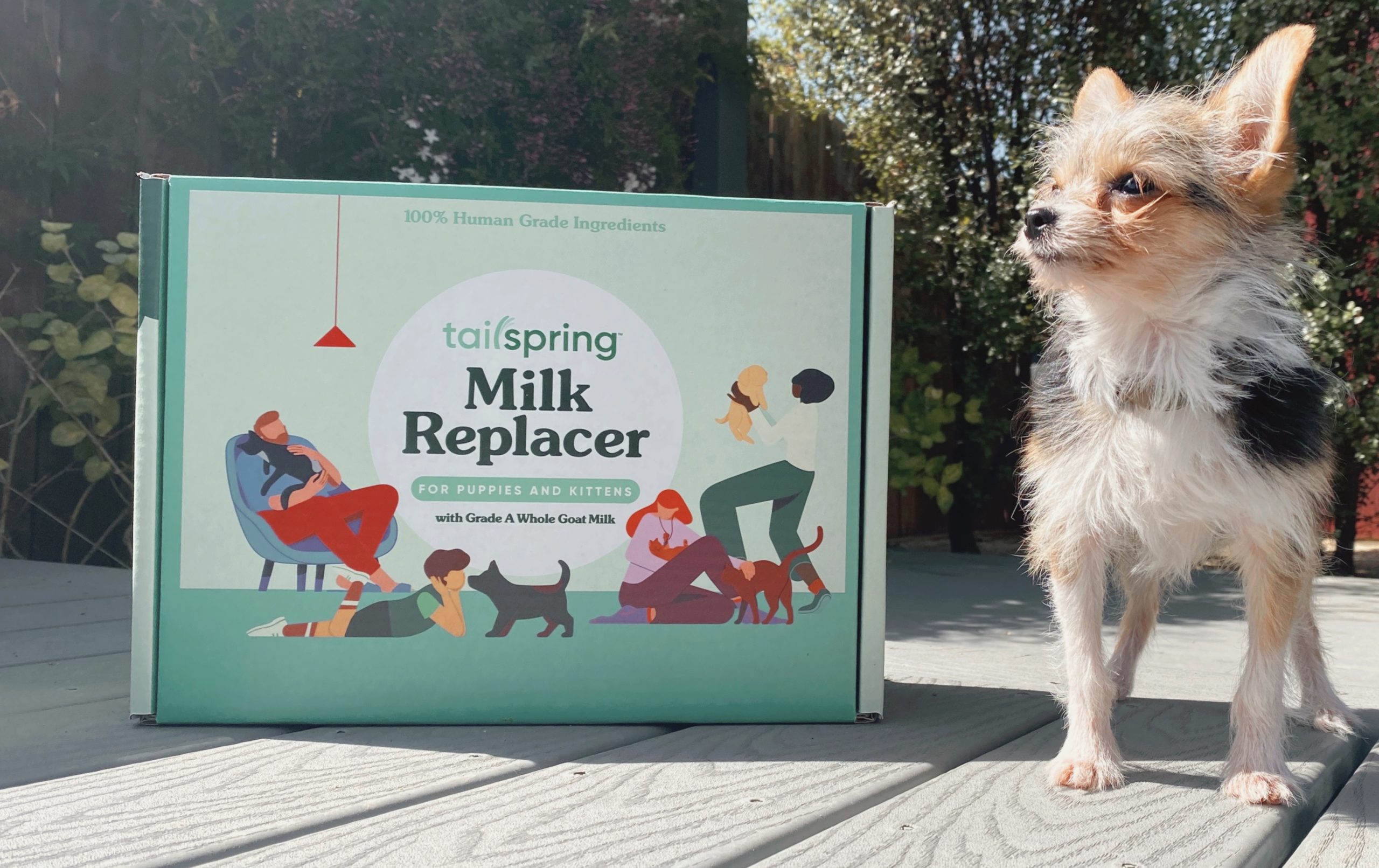 The best milk replacer for newborn puppies and kittens