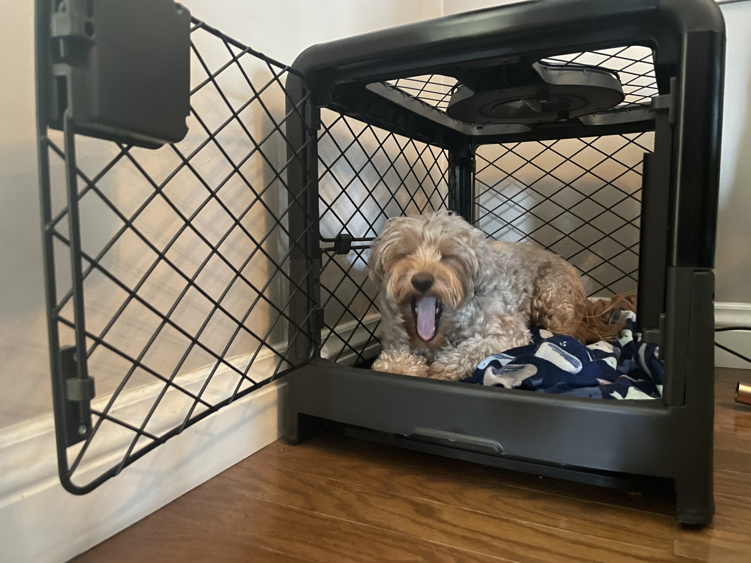Dog crate comparison guide. What’s the best dog crate?