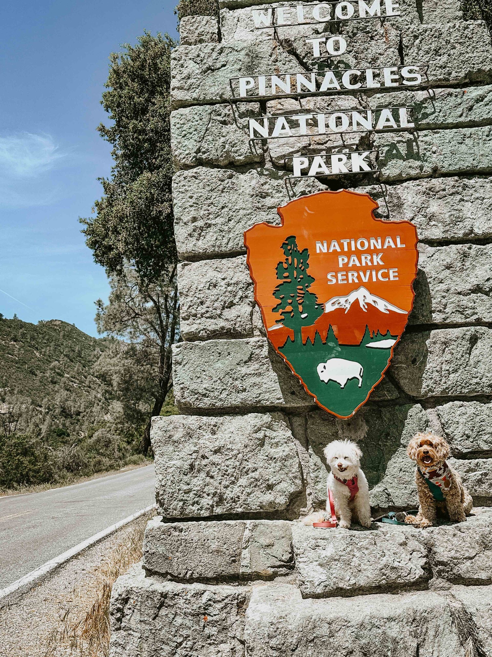 Dog friendly Pinnacles National Park road trip