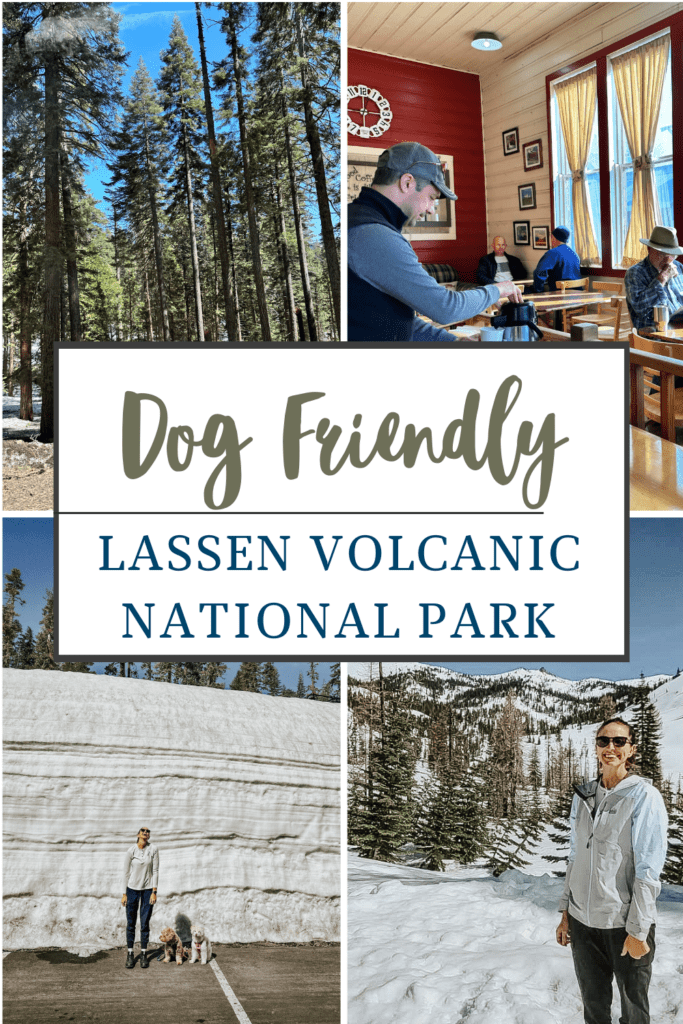 are dogs allowed in lassen volcanic national park