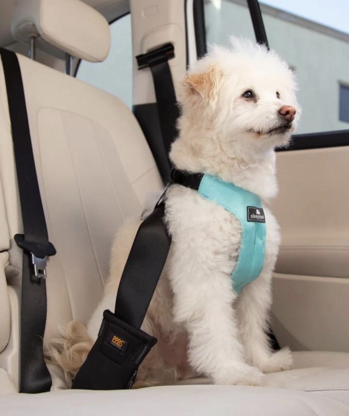 The best crash tested dog harness for your dog