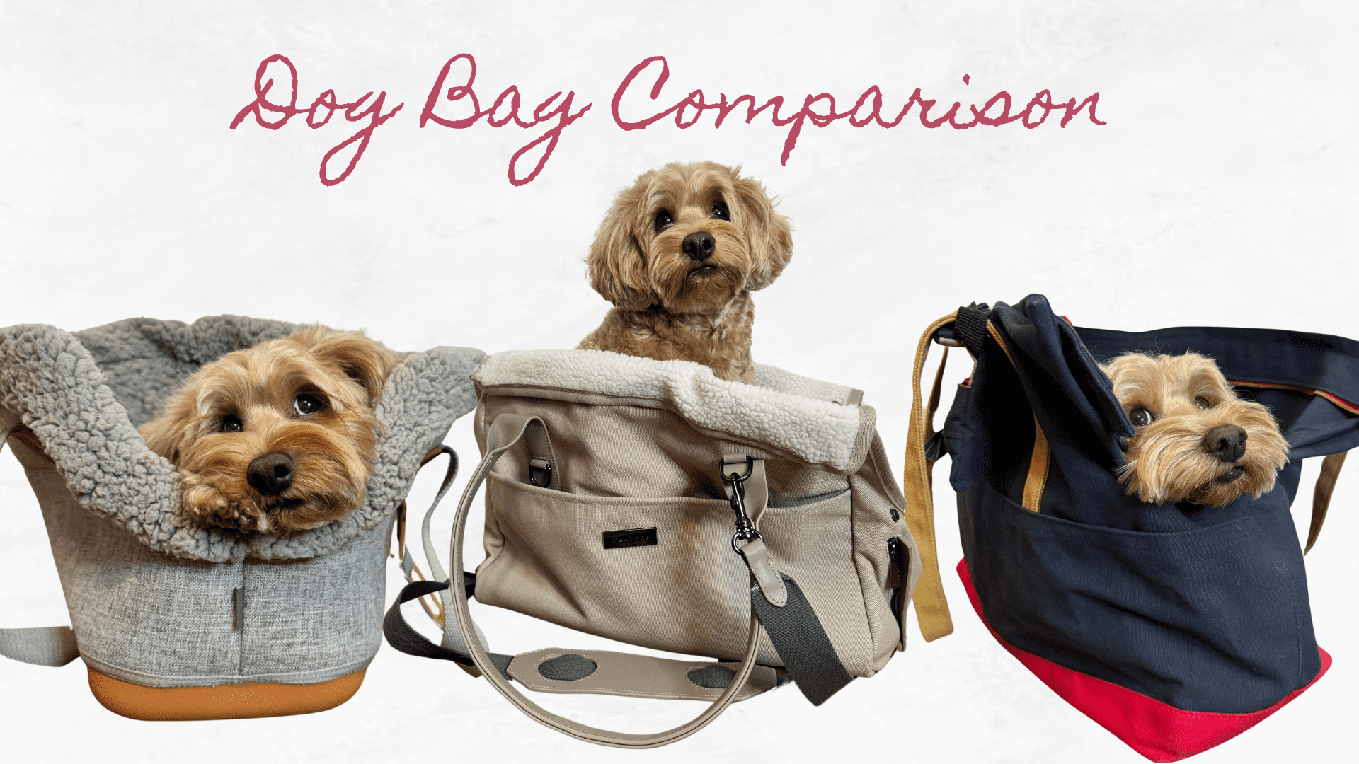 The Best Dog Carrier Purse Bags for Fashionable and Convenient Pet Errands